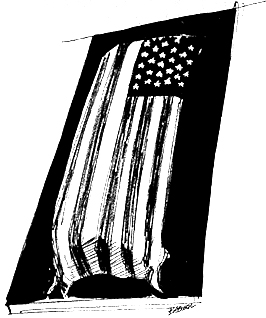 American flagged casket