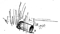 bullet casing in grass